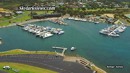 marina with many boats