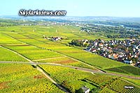 Rheingau - colored green and yellow